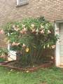 2095 Gherry Drive - Photo 54