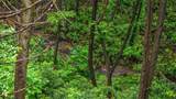 231 Conley Branch Road - Photo 48