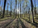 4025 Demooney Road - Photo 43