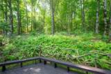 50 Shawnee Trail - Photo 54