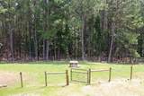 3129 Etchison Road - Photo 46