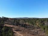 0 Big Ridge Rd - Photo 10