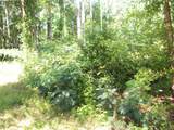 43 Shady Lane - Photo 2