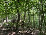 0 Lavender Trail - Photo 12