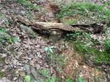 0 Lavender Trail - Photo 30