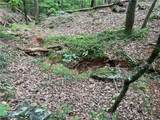 0 Lavender Trail - Photo 33