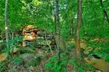 0 Lower Toccoa Hills Road - Photo 10