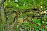 0 Lower Toccoa Hills Road - Photo 16