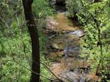 0 Lower Toccoa Hills Road - Photo 19