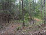 0 Lower Toccoa Hills Road - Photo 23