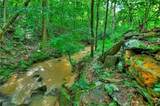 0 Lower Toccoa Hills Road - Photo 5