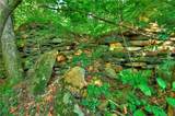 0 Lower Toccoa Hills Road - Photo 9