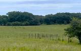 LOT 4 Hunts Gin Road - Photo 10