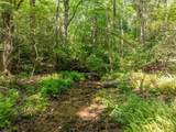 1298 Cold Stream Trail - Photo 11