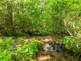 1298 Cold Stream Trail - Photo 12
