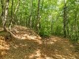 1298 Cold Stream Trail - Photo 27