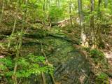 1298 Cold Stream Trail - Photo 30
