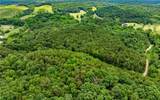 116 Ac Pine Hill Road - Photo 24