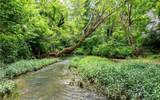 116 Ac Pine Hill Road - Photo 4