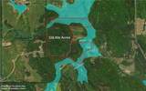 116 Ac Pine Hill Road - Photo 7