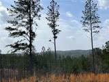 LT 123 Blalock Mountain Rd Road - Photo 4