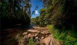 0 Old Rock Creek Road - Photo 11