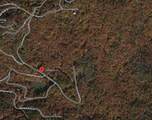LOT 84 Larkspur Lane - Photo 4