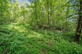 3.11 Acres Cove Road - Photo 10
