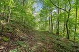 3.11 Acres Cove Road - Photo 14
