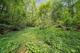 3.11 Acres Cove Road - Photo 3