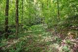3.11 Acres Cove Road - Photo 4