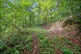 3.11 Acres Cove Road - Photo 5