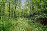 3.11 Acres Cove Road - Photo 9