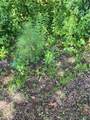 2055 Henry Scott Rd-Lot B 3.7 Acres - Photo 7