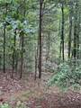 680 Fouche Gap Road - Photo 13