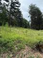 680 Fouche Gap Road - Photo 3