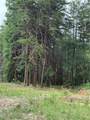 680 Fouche Gap Road - Photo 7