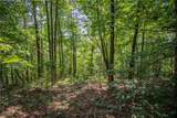 103R Mountain Creek Hollow Drive - Photo 23