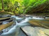 103R Mountain Creek Hollow Drive - Photo 28