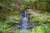 103R Mountain Creek Hollow Drive - Photo 48