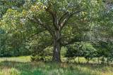 Lot 3 Old State Road - Photo 9