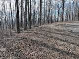 256 Blood Root Trail - Photo 2