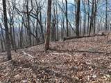 256 Blood Root Trail - Photo 21