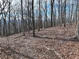 256 Blood Root Trail - Photo 22