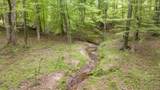 0 Louden Ridge Road - Photo 4