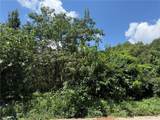 0 Beeler Drive - Photo 6