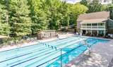 1820 Azalea Springs Trail - Photo 47