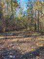 14 AC Old Burnt Mountain - Photo 11