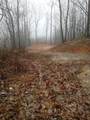 14 AC Old Burnt Mountain - Photo 12