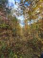 14 AC Old Burnt Mountain - Photo 21